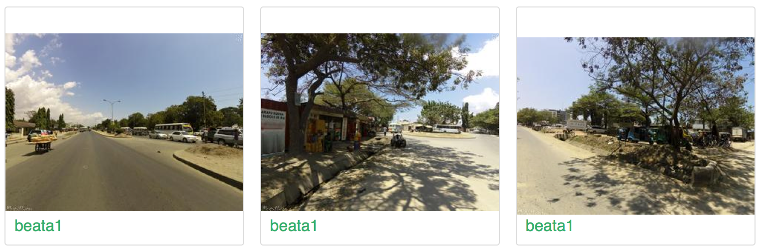 Beata1 profile