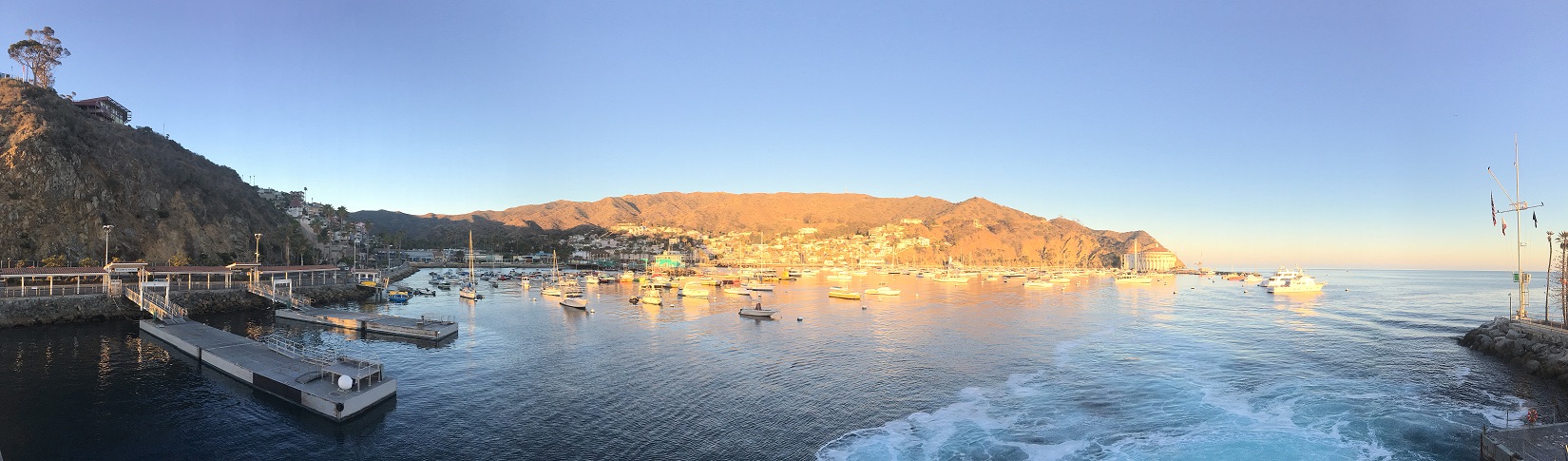 Avalon Harbor in early morning from the ferry
