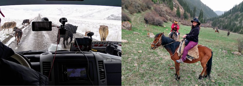 Mapping by car and horseback