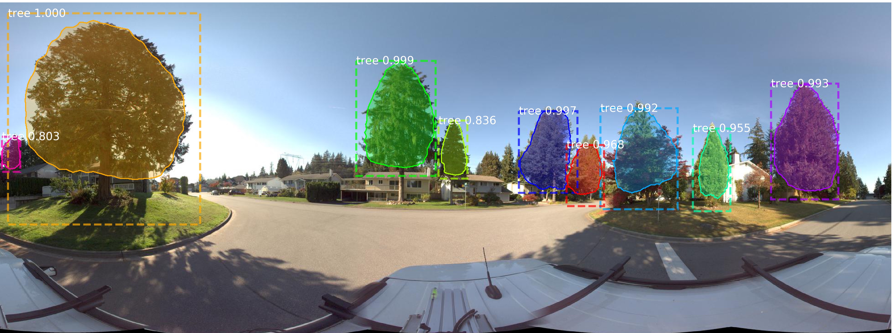 Identifying trees with computer vision
